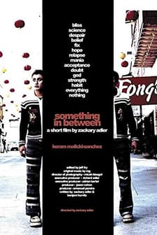 Something In Between (2002) afişi