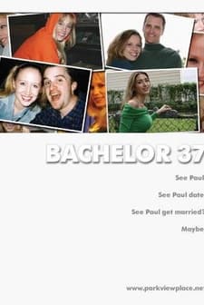 Bachelor 37 (2005) afişi
