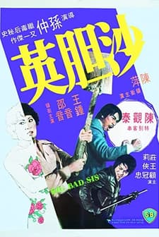 Sa Dam Ying (1976) afişi