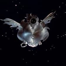 Babfilm (1976) afişi