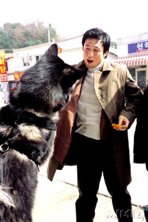 A Wacky Switch Fotoğrafı