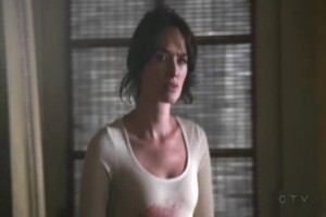 Terminator: The Sarah Connor Chronicles Fotoğrafı