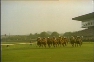 Atla Gel Şaban Fotoğrafı