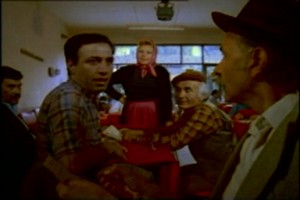 Atla Gel Şaban fotoğrafı