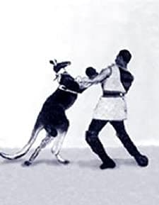 Das Boxende Känguruh (1895) afişi
