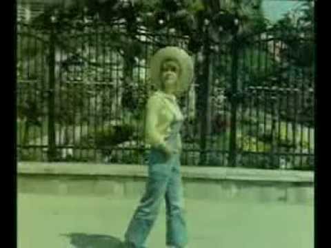 Sarmaşık Gülleri fotoğrafı