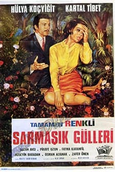 Sarmaşık Gülleri (1968) afişi