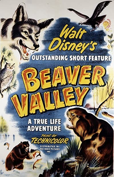Beaver Valley (1950) afişi
