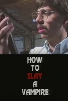 How To Slay A Vampire (1995) afişi