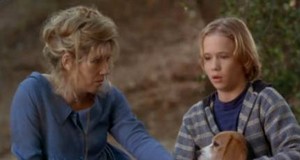 Sevimli Köpek Shiloh fotoğrafı