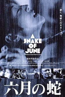 A Snake Of June (2002) afişi