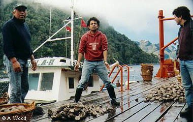 Loco'nun Ateşi fotoğrafı