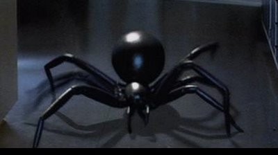 Buz Örümcekler Fotoğrafı