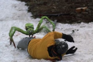 Buz Örümcekler Fotoğrafı