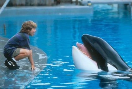 Free Willy: Escape From Pirate's Cove Fotoğrafı
