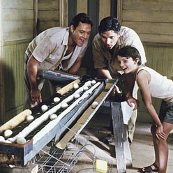 Babam Romulus Fotoğrafı