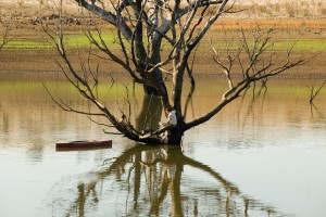 Babam Romulus Fotoğrafı