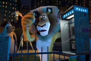 Madagaskar fotoğrafı