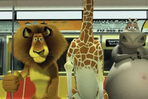 Madagaskar fotoğrafı