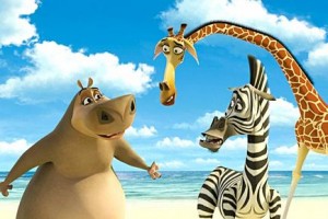 Madagaskar fotoğrafı