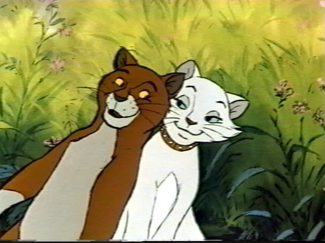 Aristokediler Fotoğrafı