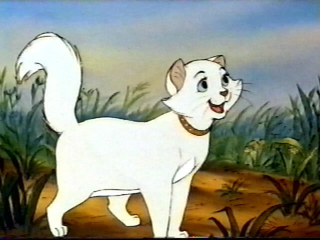 Aristokediler Fotoğrafı