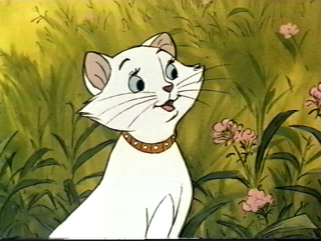 Aristokediler Fotoğrafı