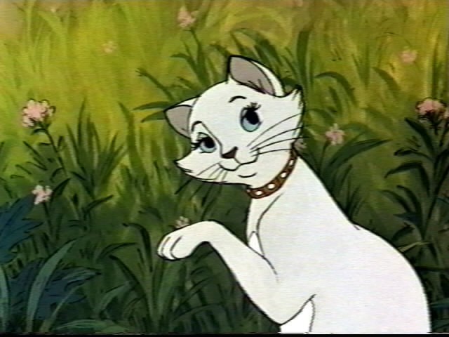 Aristokediler Fotoğrafı