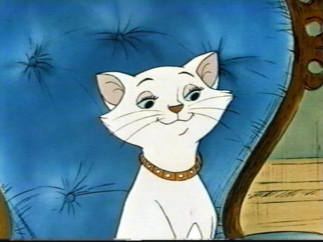 Aristokediler Fotoğrafı