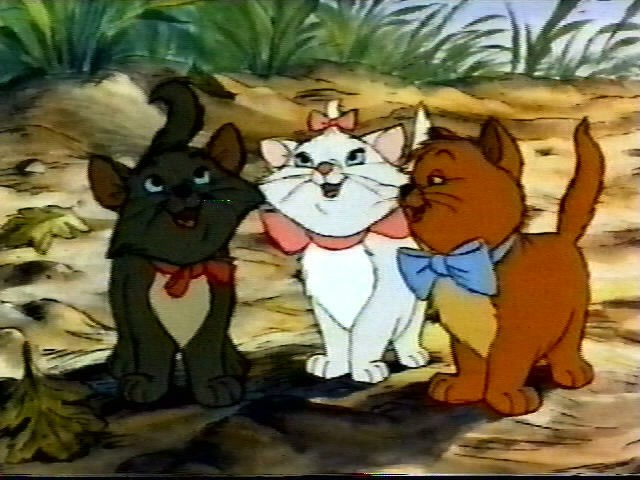 Aristokediler Fotoğrafı