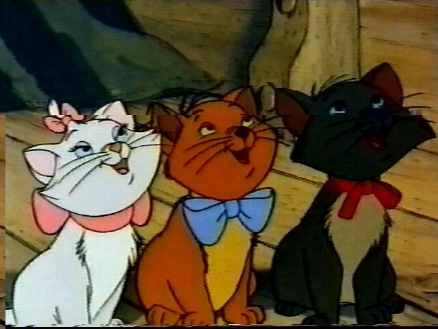 Aristokediler Fotoğrafı