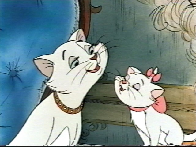 Aristokediler Fotoğrafı