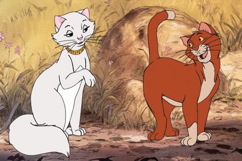 Aristokediler Fotoğrafı