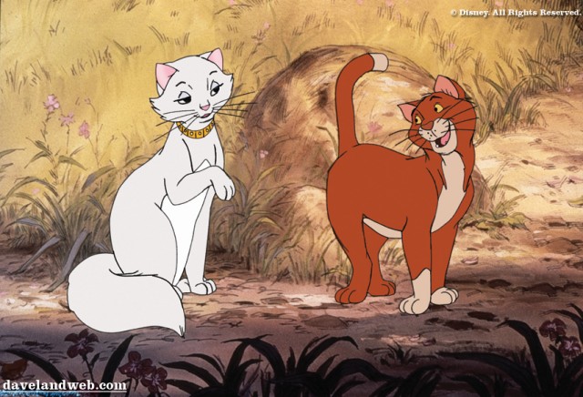 Aristokediler Fotoğrafı