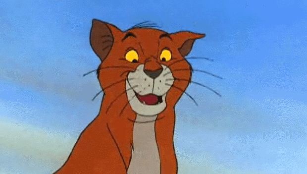 Aristokediler Fotoğrafı