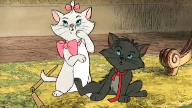 Aristokediler Fotoğrafı