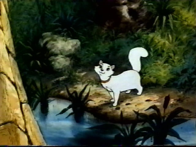 Aristokediler Fotoğrafı