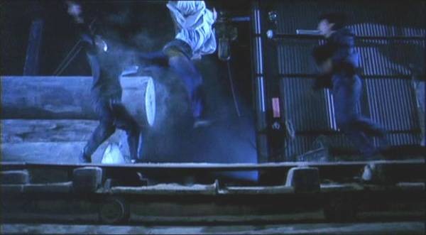 Tiger Cage 3 Fotoğrafı