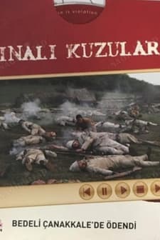 Kınalı Kuzular: Bedeli Çanakkale'de Ödendi (2006) afişi