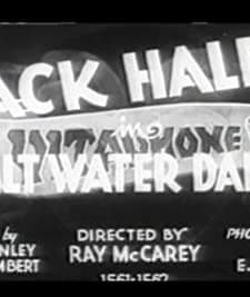 Salt Water Daffy (1933) afişi