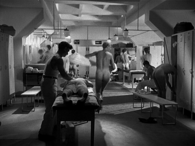 Search For Beauty fotoğrafı