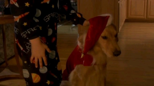 Altın Noel fotoğrafı