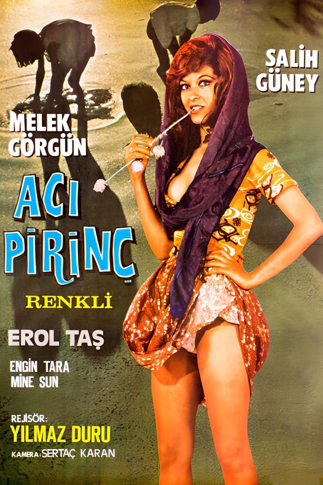 Acı Pirinç (1971) afişi