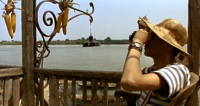 Kara Kedi Ak Kedi Fotoğrafı