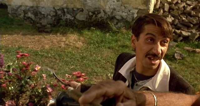 Kara Kedi Ak Kedi Fotoğrafı