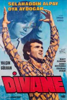 Divane (1979) afişi
