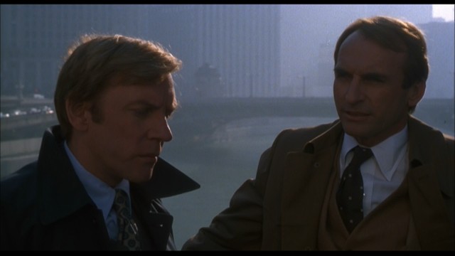 Sıradan İnsanlar fotoğrafı