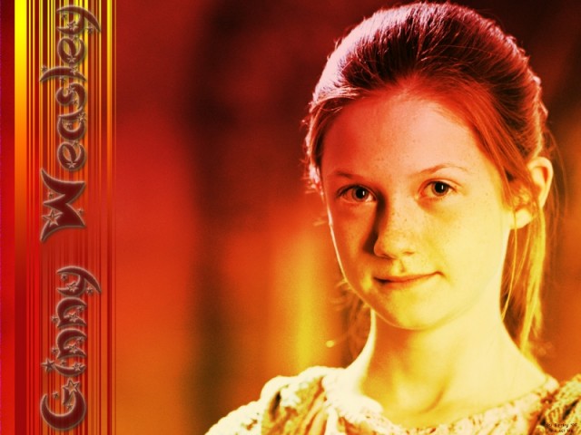 Harry Potter ve Sırlar Odası Fotoğrafı