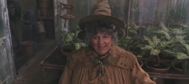 Harry Potter ve Sırlar Odası Fotoğrafı