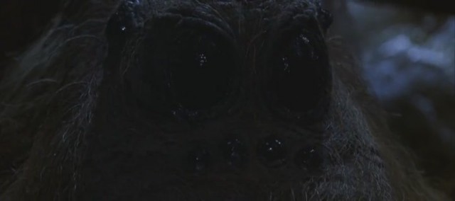 Harry Potter ve Sırlar Odası Fotoğrafı